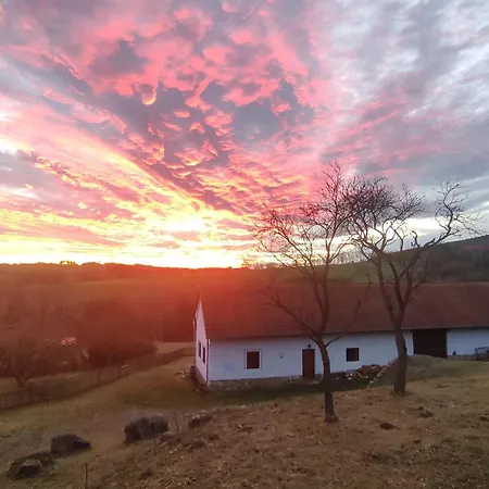 - Slapy/pazderny * Zdar (Benesov)