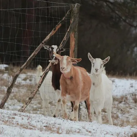 - Slapy/pazderny Gospodarstwo wiejskie