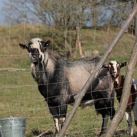 Gospodarstwo wiejskie - Slapy/pazderny *