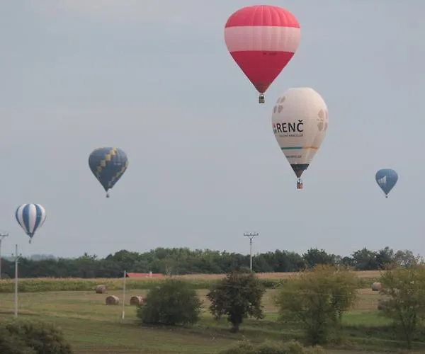 - Slapy/pazderny カントリーハウス *
